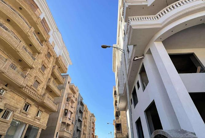 7984819 - Property Image 3