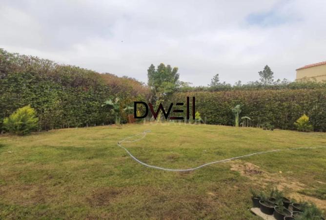 8076283 - Property Image 3