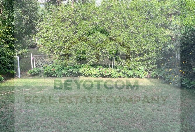 8191111 - Property Main Image