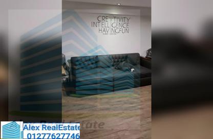Office Space - Studio - 2 Bathrooms for rent in Omar Lotfy St. - Ibrahimia - Hay Wasat - Alexandria