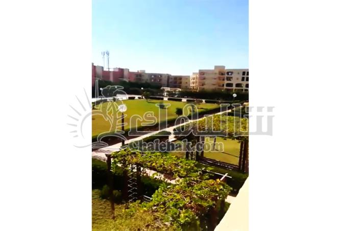 7935159 - صورة العقار 3