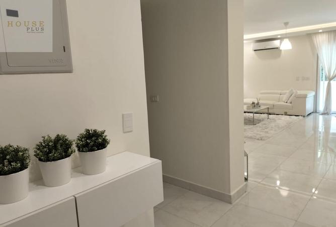 8084729 - Property Image 3
