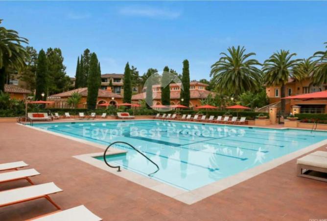 8245014 - صورة العقار 3