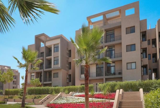 8217664 - Property Image 3