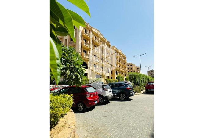 8330618 - Property Image 2