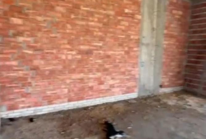 8326670 - صورة العقار 3