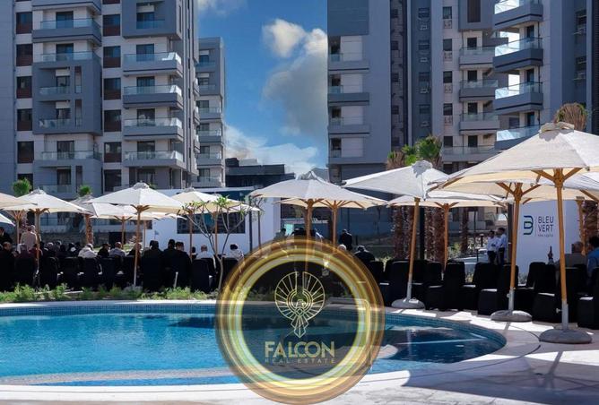 8298187 - Property Image 3