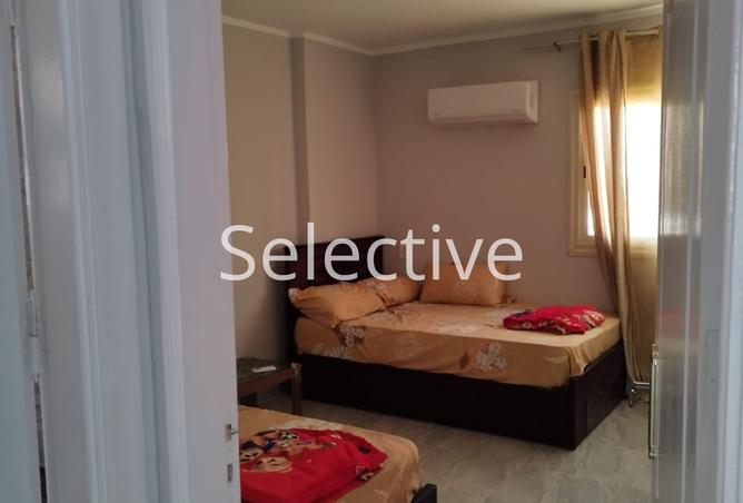 8246572 - Property Image 3