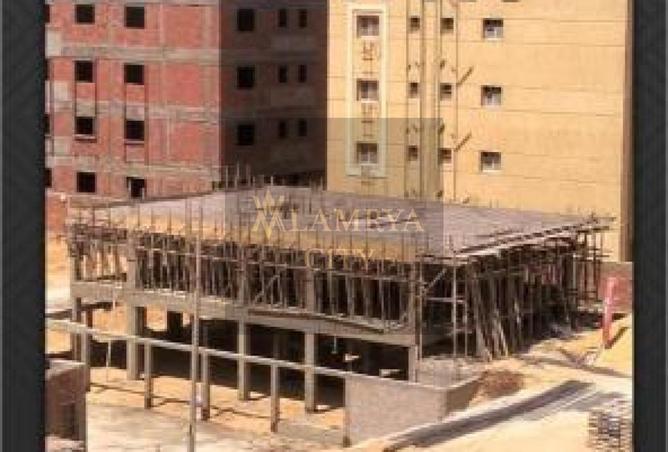 8098688 - Property Image 3