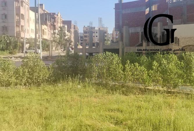 8021460 - الصورة الرئيسية للعقار