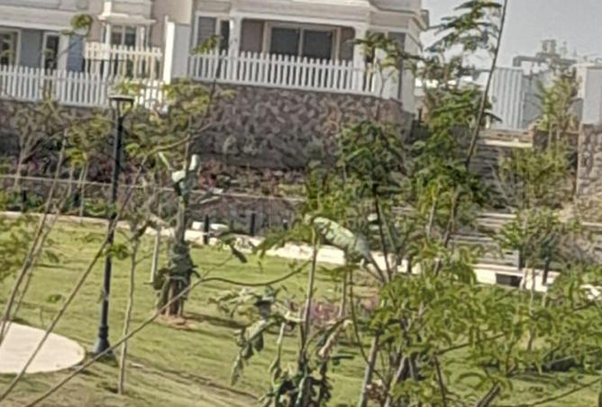 8419723 - Property Image 3