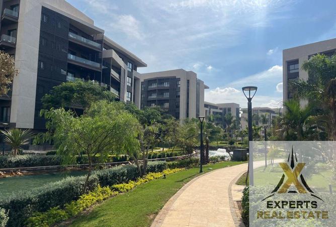 8443639 - Property Image 3