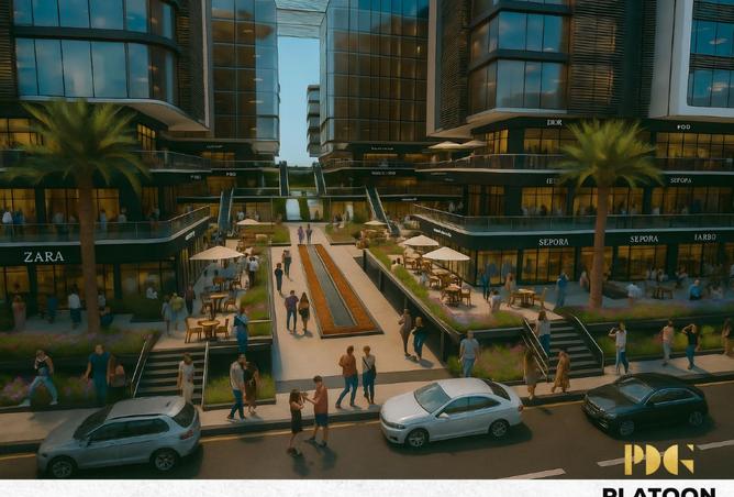 8391274 - Property Image 3