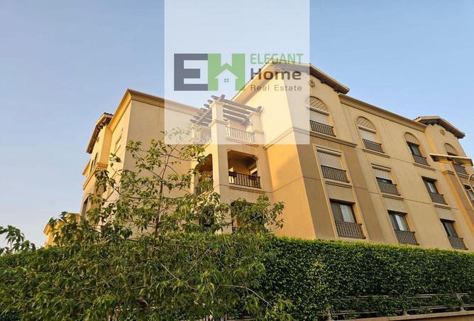 8497906 - Property Image 3