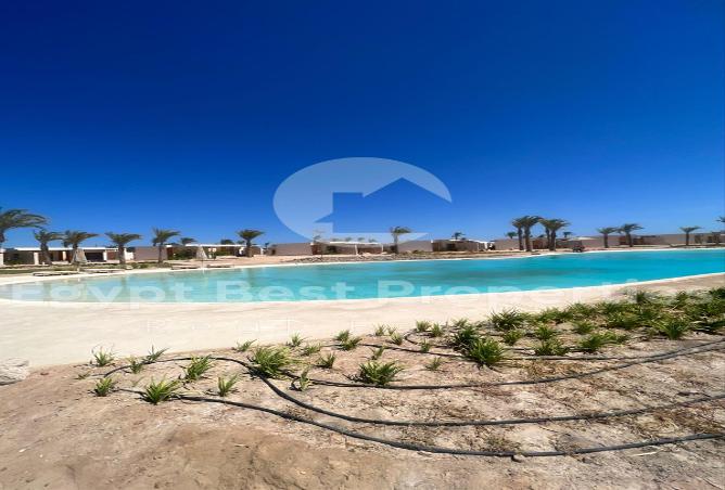 7971014 - صورة العقار 2