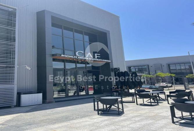 8076463 - Property Image 3