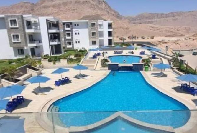 8060472 - صورة العقار 3