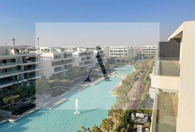 8193370 - Property Image 3