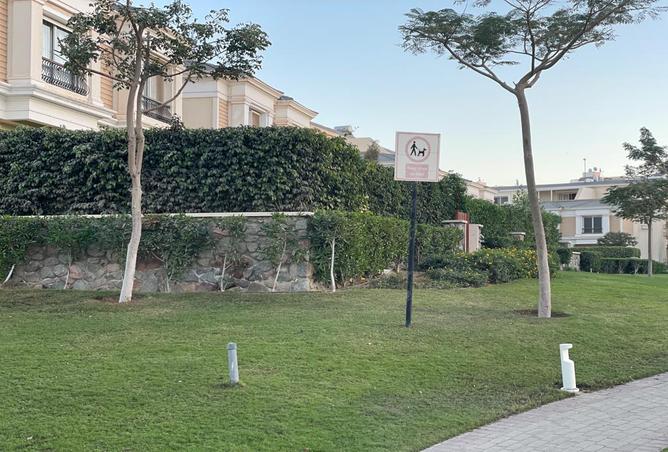7966589 - صورة العقار 3