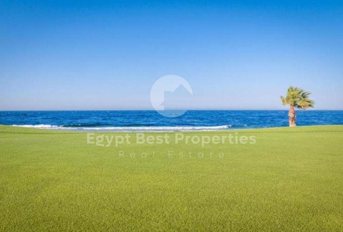 7965092 - صورة العقار 3