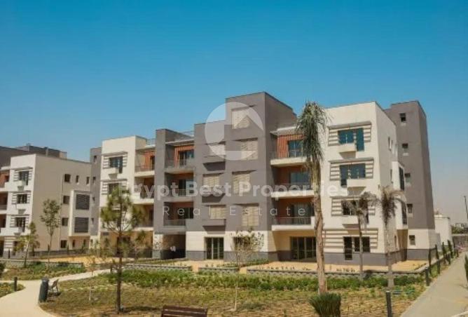 8405584 - Property Image 3