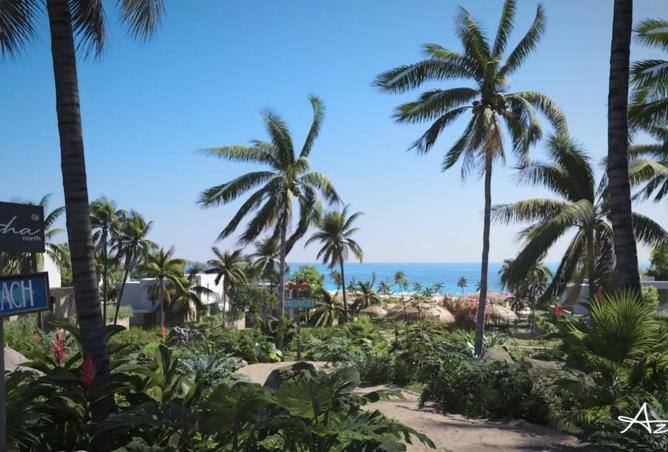 8194850 - Property Image 3