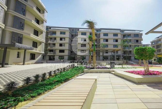 7993049 - صورة العقار 3