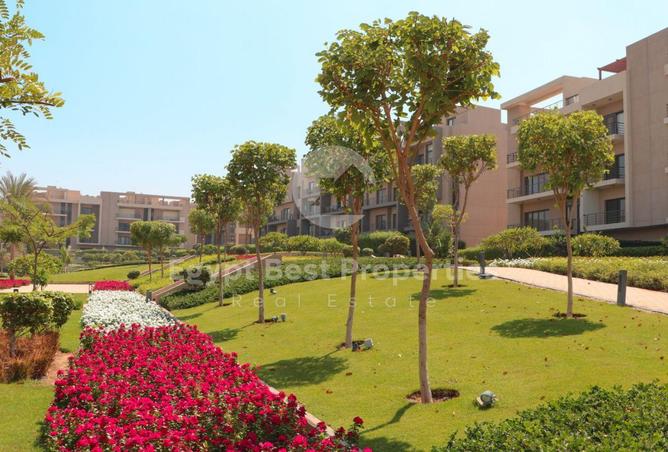 7890568 - الصورة الرئيسية للعقار