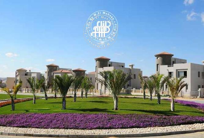 8442279 - Property Image 3