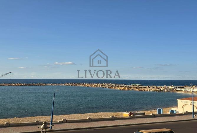 8230185 - Property Image 2