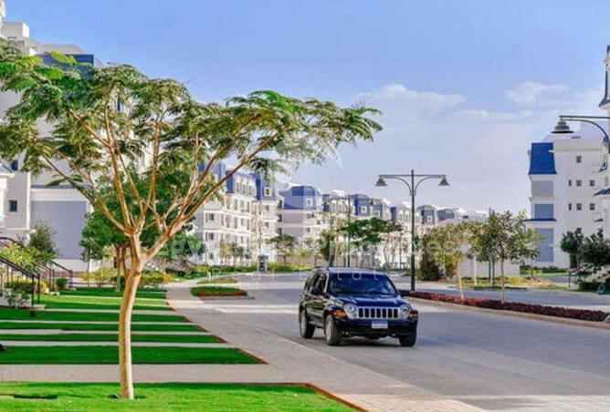 8436761 - Property Image 3