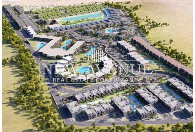 8231312 - Property Image 3