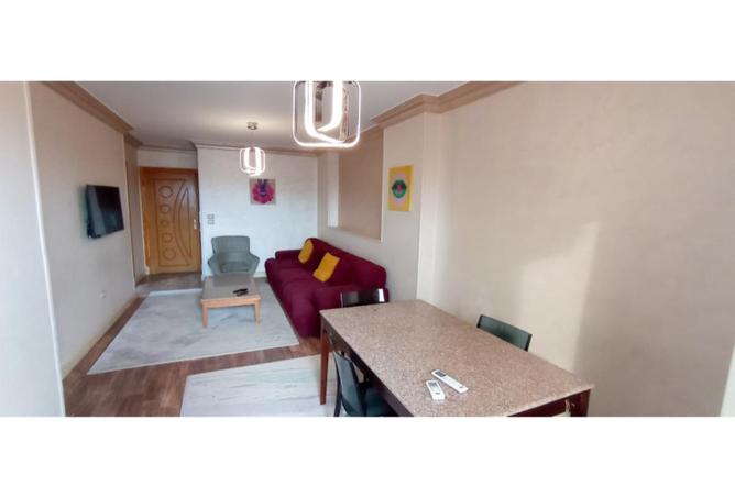 8159805 - صورة العقار 2