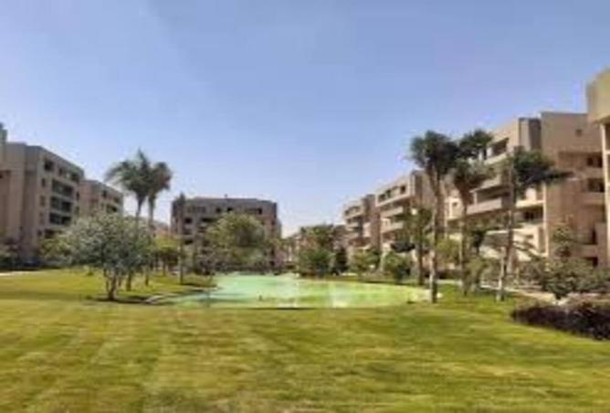 7967526 - الصورة الرئيسية للعقار