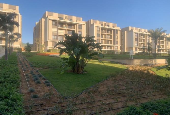 8512748 - صورة العقار 3