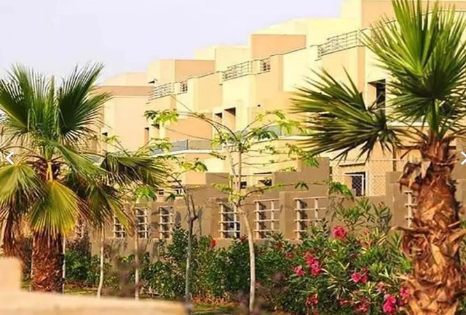 7991082 - صورة العقار 2