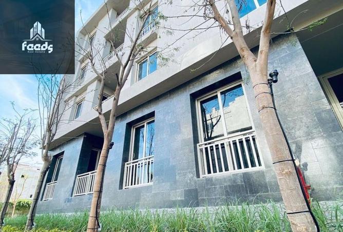 8290509 - صورة العقار 3