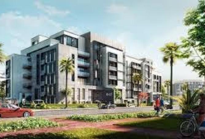 8380537 - Property Image 3