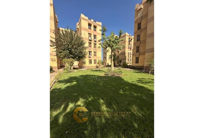 8211404 - Property Image 3