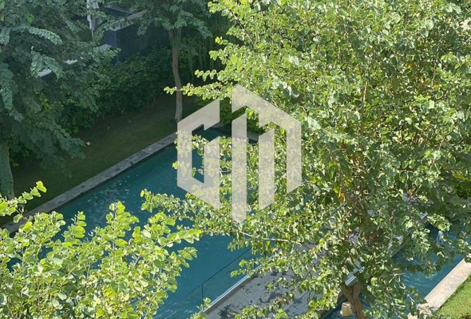 8269082 - Property Image 3