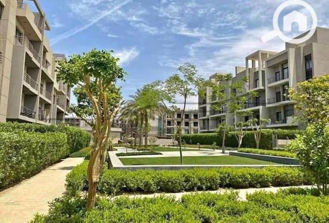 8321648 - Property Image 3