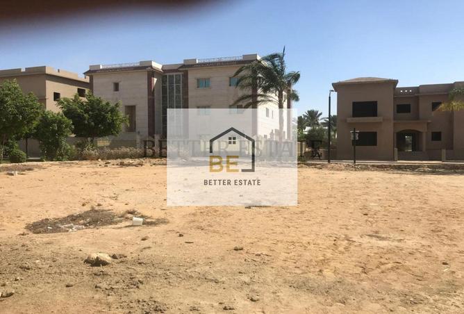 6113601 - صورة العقار 2