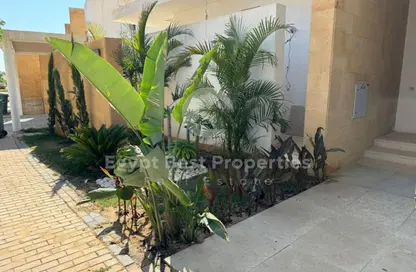 Chalet - 2 Bedrooms - 2 Bathrooms for sale in Makadi Orascom Resort - Makadi - Hurghada - Red Sea