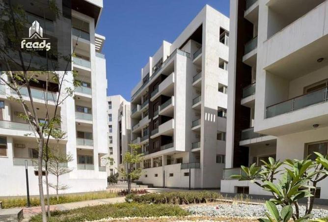 8222468 - Property Image 3