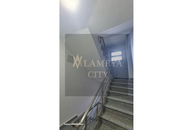 8096155 - صورة العقار 3