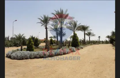 قطعة أرض - استوديو للبيع في القناطر الخيرية - القليوبية
