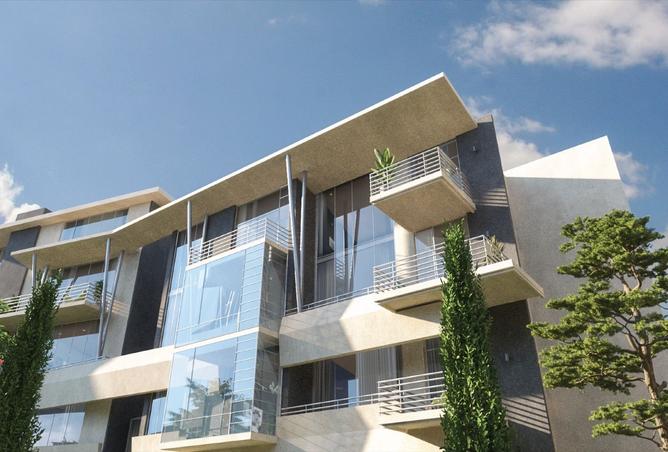 8430715 - Property Image 3