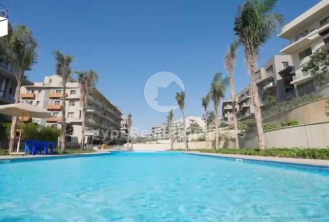 8239689 - Property Image 3