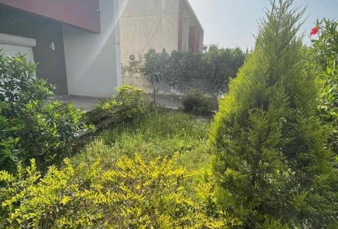 8273064 - صورة العقار 2