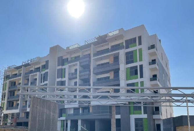 8197067 - Property Image 3